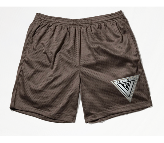 VALLEJO V707 Vacation Shorts (Coffee Brown)